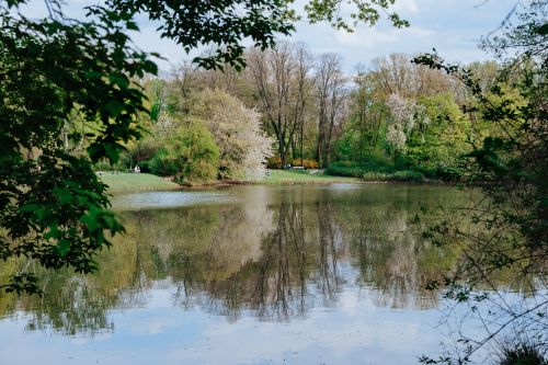 Free Serene lake surrounded by lush greenery and trees in springtime, reflecting a peaceful natural setting. Stock Photo