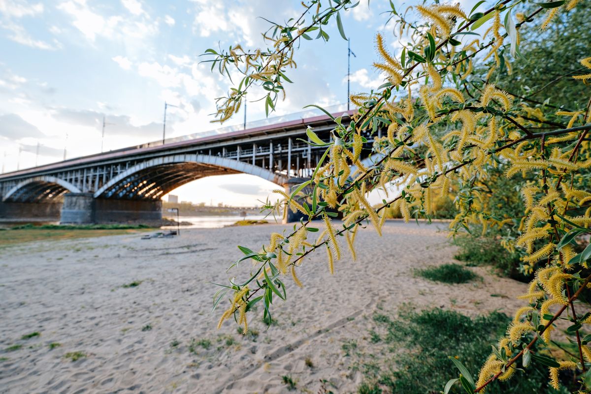 Plaża nad Wisłą w Warszawie w okolicy Mostu Poniatowskiego