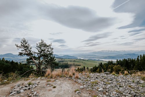 無料 山岳, 曇り空, 木の無料の写真素材 写真素材