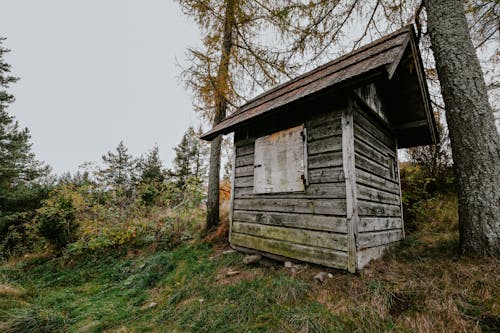 Darmowe zdjęcie z galerii z drewniany dom, drzewa, fotografia przyrodnicza