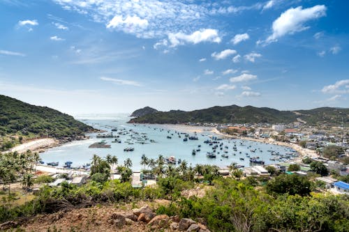 ağaçlar, deniz, deniz araçları içeren Ücretsiz stok fotoğraf