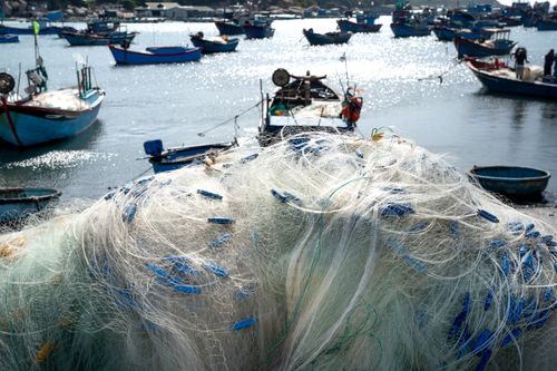 Free A bustling harbor with fishing nets and boats under the bright sun. Stock Photo
