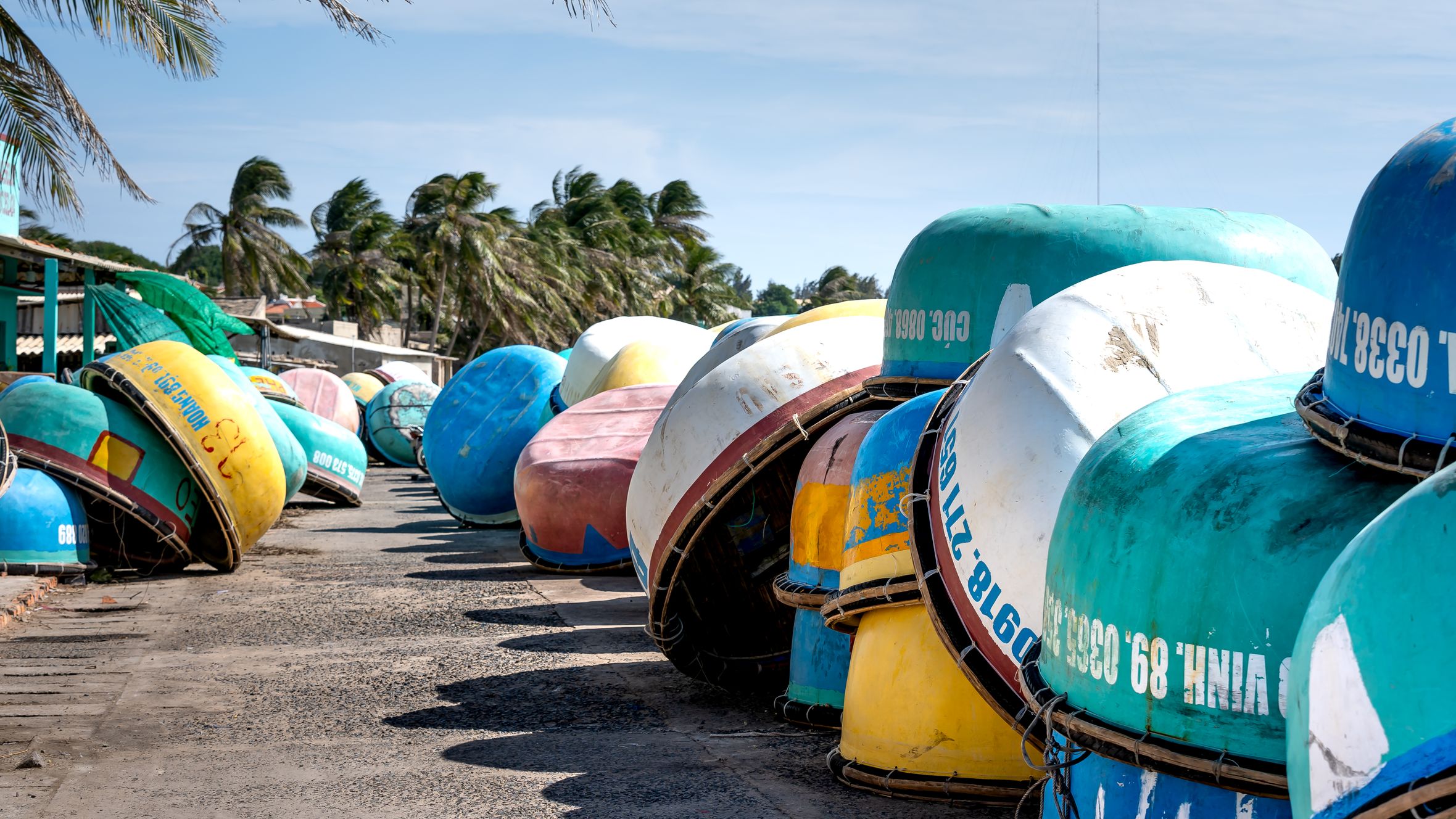 Rows of vibrant round boats on a sunny tropical beach with palm trees swaying in the breeze.
