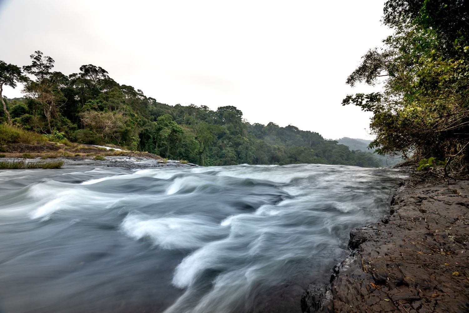 Athirappilly Falls in full monsoon flow on the Chalakudy river