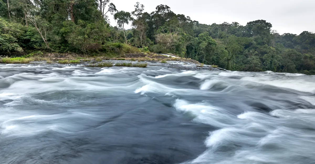 Trek vers le Gunung Tahan