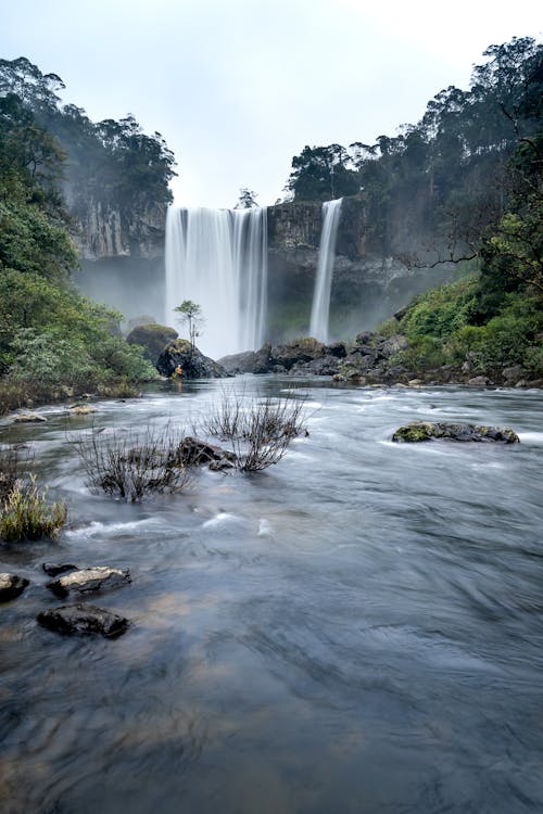 Foto profissional grátis de árvores verdes, cachoeiras, cênico