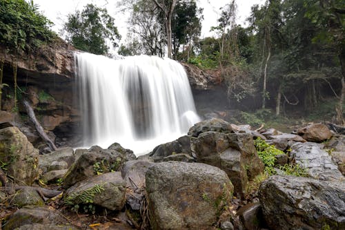 Foto profissional grátis de árvores verdes, cachoeiras, cênico