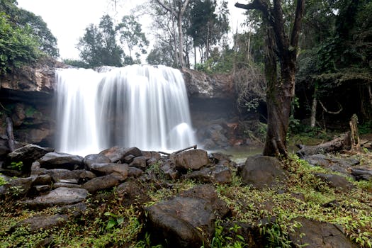 Majestic waterfall cascading in a lush forest setting, offering a tranquil and scenic view of nature's beauty.