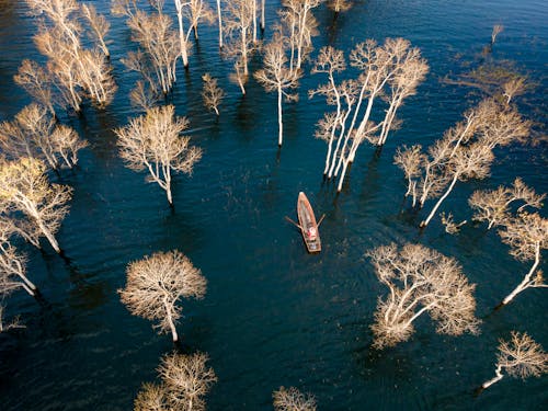 Kostenloses Stock Foto zu bäume, boot, drohne erschossen