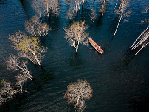 Foto profissional grátis de aerofotografia, árvores, barco
