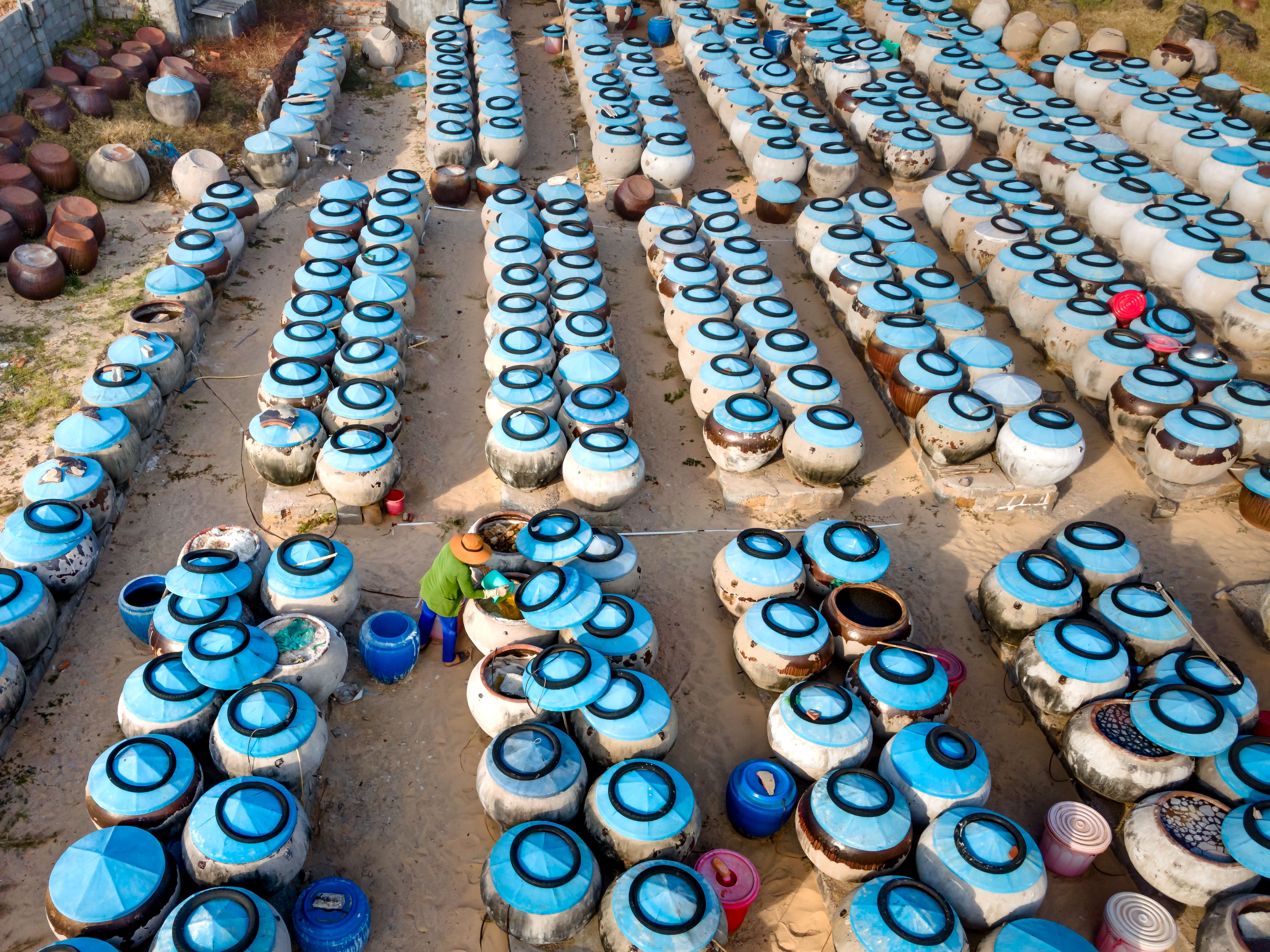 An aerial view showcases numerous blue-lidded fermentation jars in an outdoor setting, with a lone worker tending to them.