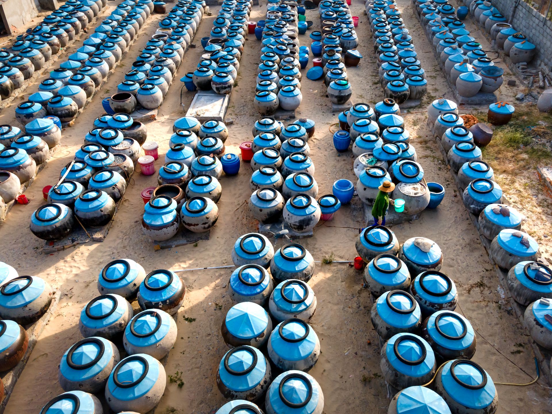 Aerial shot of numerous blue-topped clay jars arranged for fermentation process outdoors.