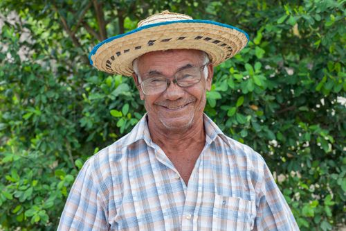 Free Happy senior man with glasses and straw hat in a sunny setting. Stock Photo