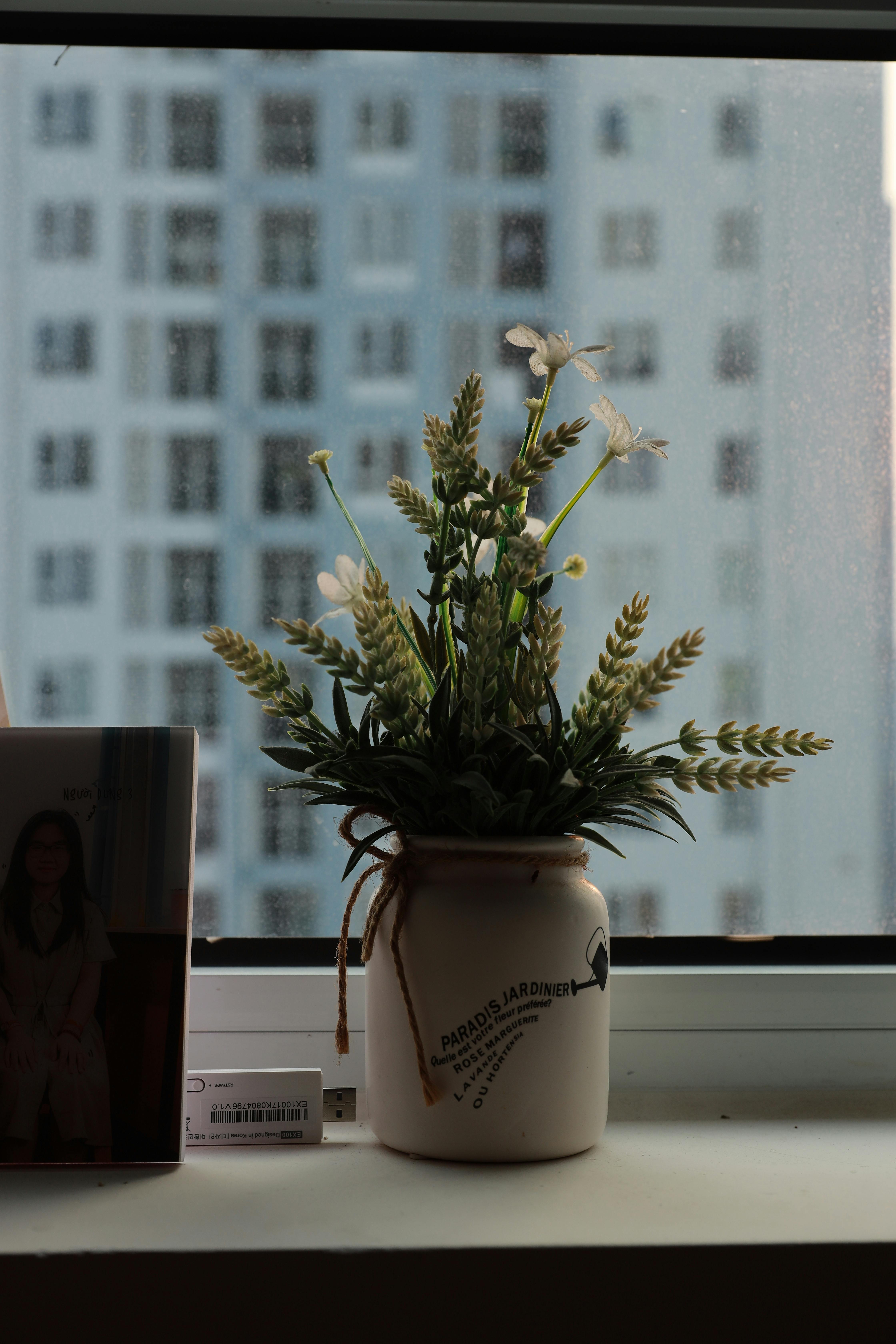 A minimalist flower arrangement in a white vase, set on a windowsill with cityscape background.