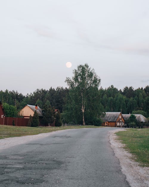 Road and Houses Near the Woods