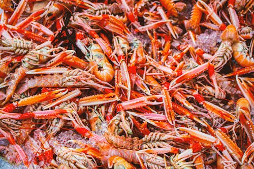 Foto profissional grátis de abundância, alimento, amontoado