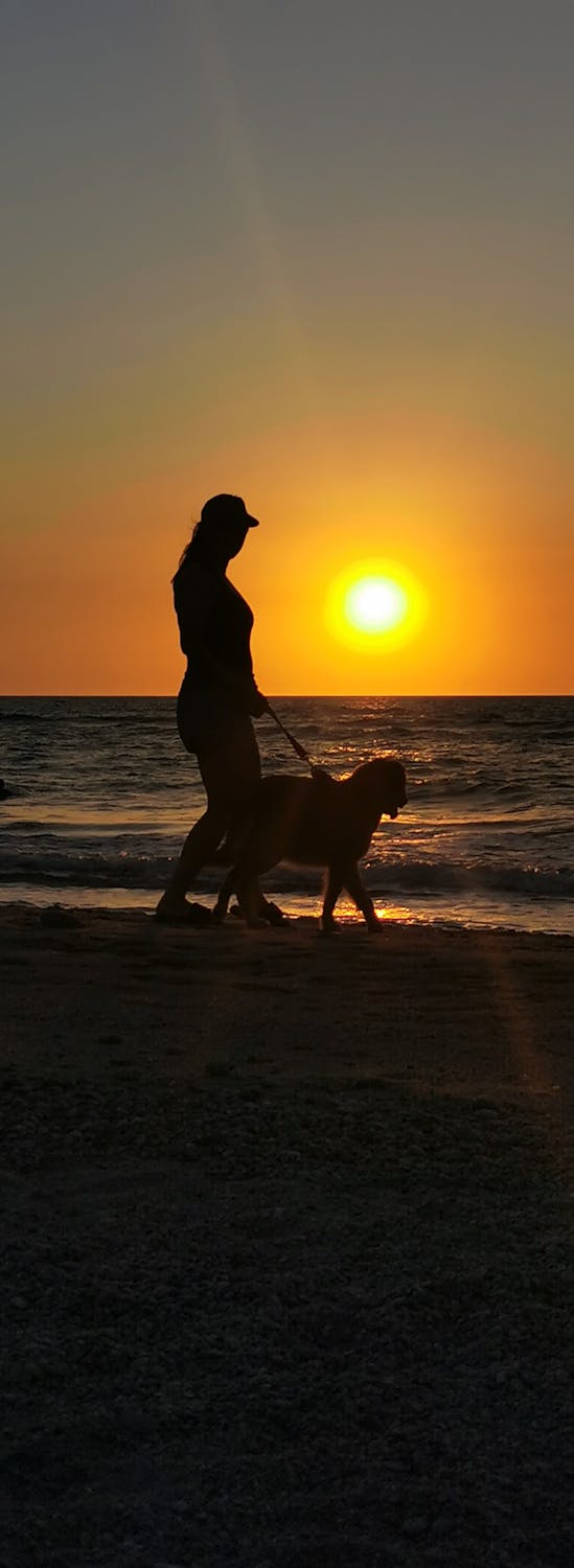 Fix Oops Moments for Social Wellness - repairing social missteps and strengthening bonds