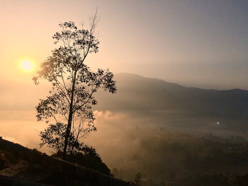 Foto stok gratis emas, firdaus, matahari keemasan