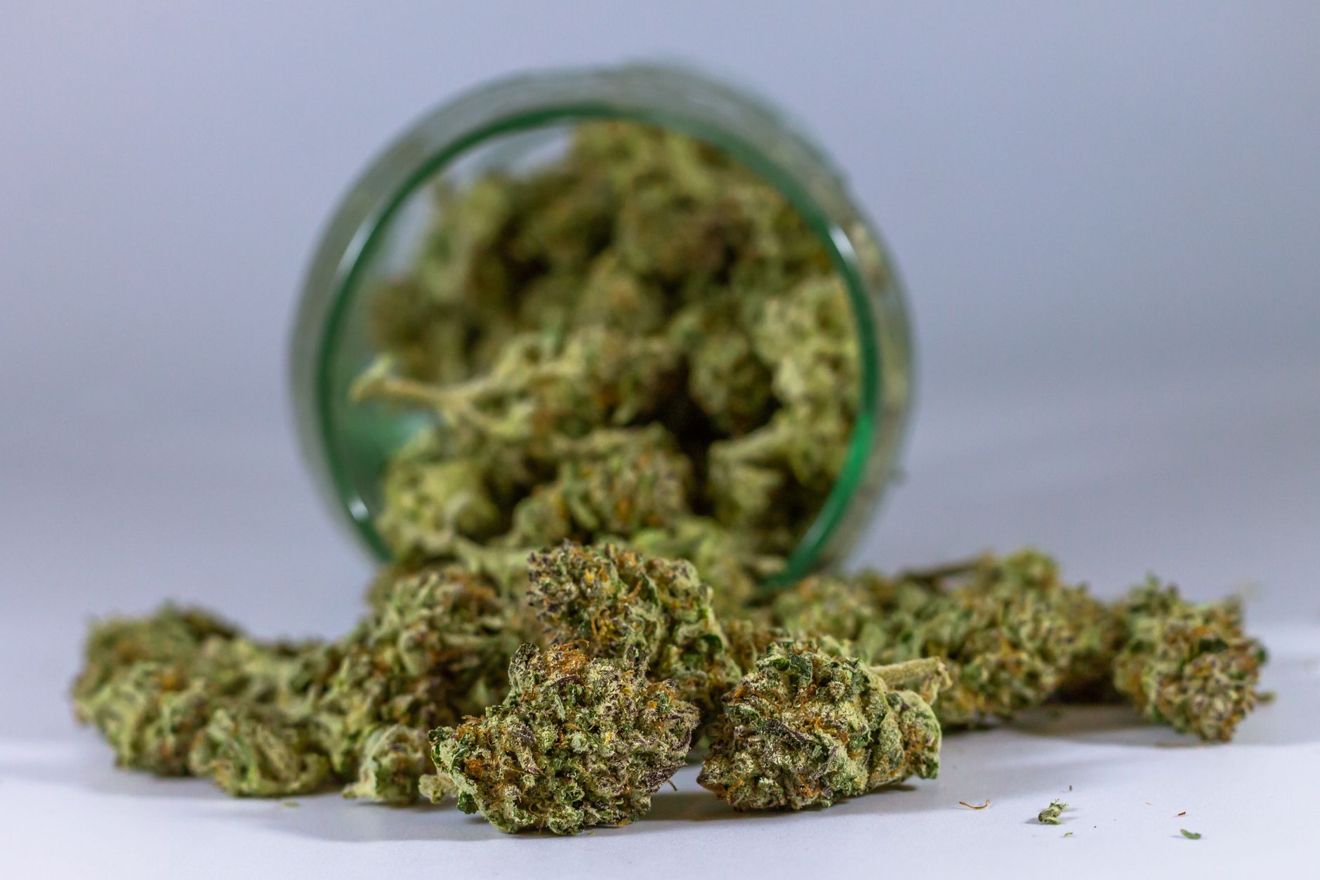 Cannabis anxiety relief consultation at MrGreen dispensary DC MrGreen DC budtender helping patient choose cannabis for anxiety