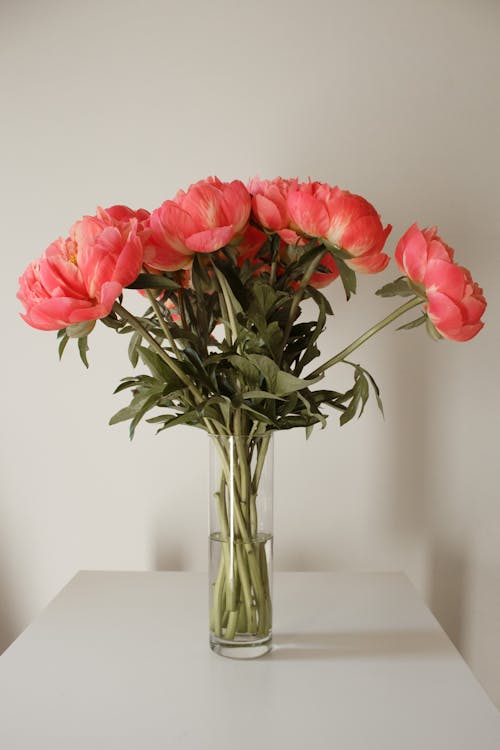 Free Photos gratuites de bouquet, bouquet de fleurs, feuilles Stock Photo
