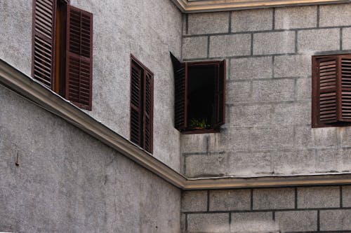 Windows of a Concrete Building