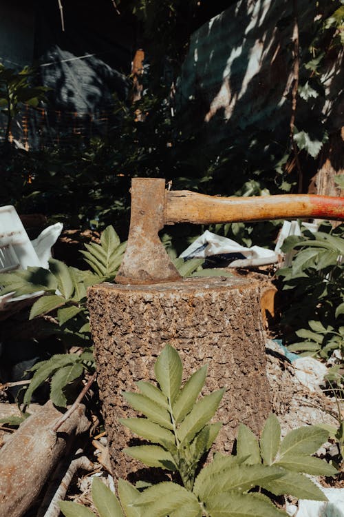 Free Photo of an Axe on a Tree Stump Stock Photo