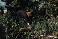 A woman tends to plants in a lush garden surrounded by greenery and natural light.