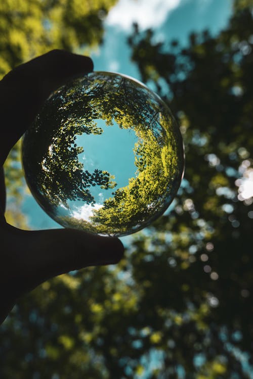 Person Holding Crystal Ball With Green Trees and Blue Sky on Background