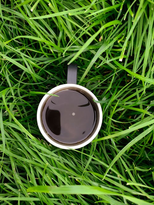 A Cup of Drink Placed on Green Grass