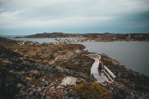 Immagine gratuita di avventura, bagnasciuga, camminando