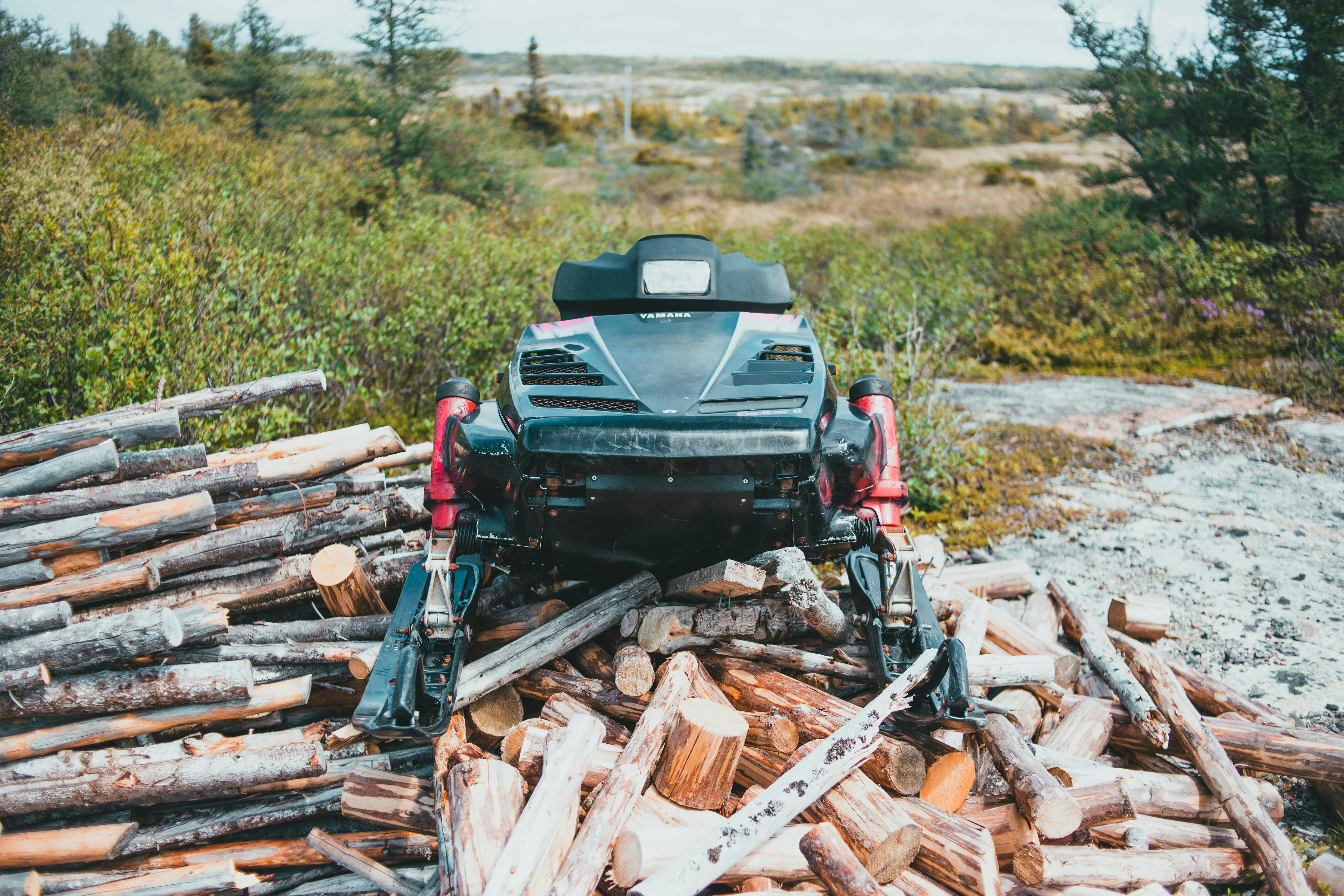 what-s-the-shortest-song-ever-written