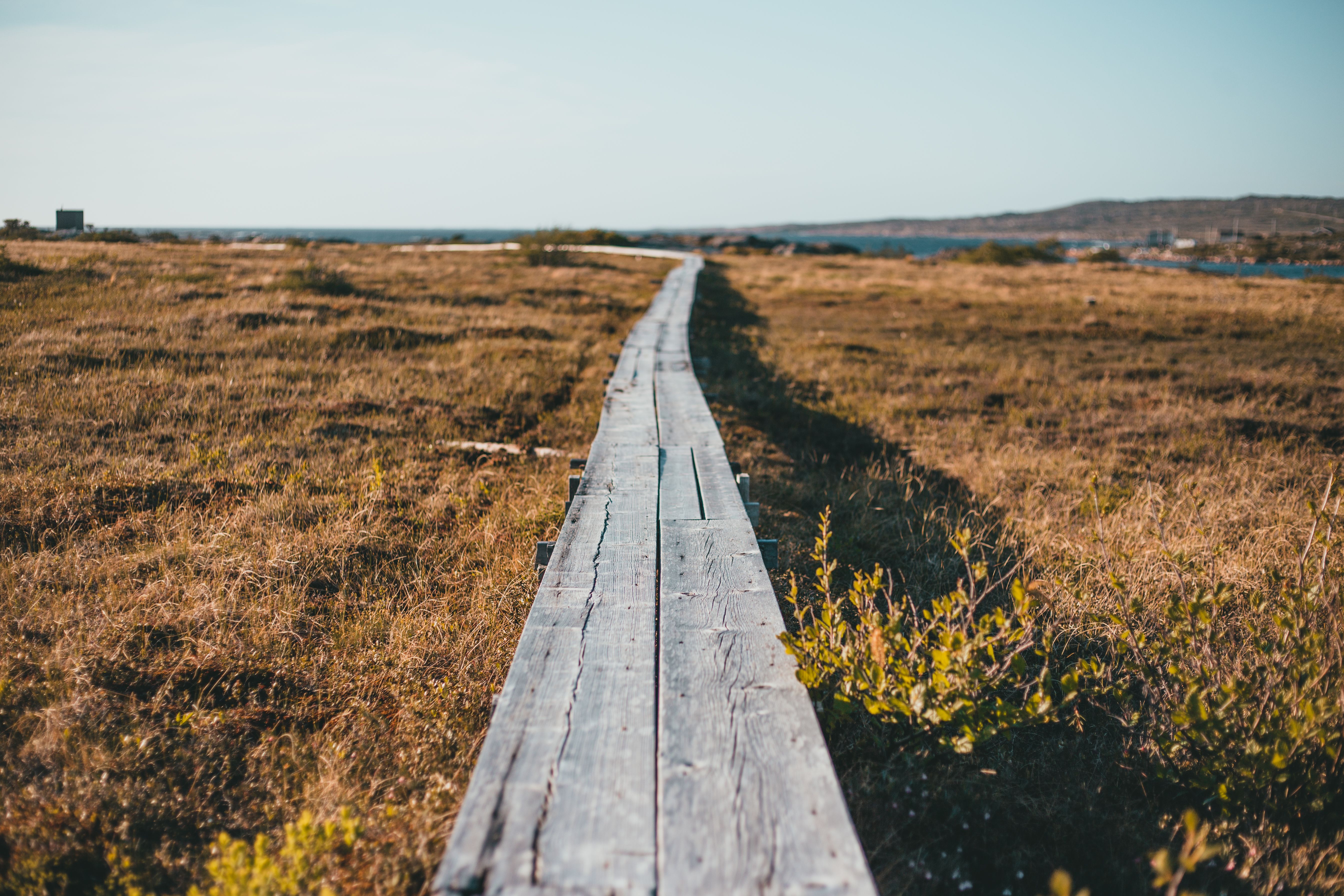 minimalistic amber-toned path representing self-discovery