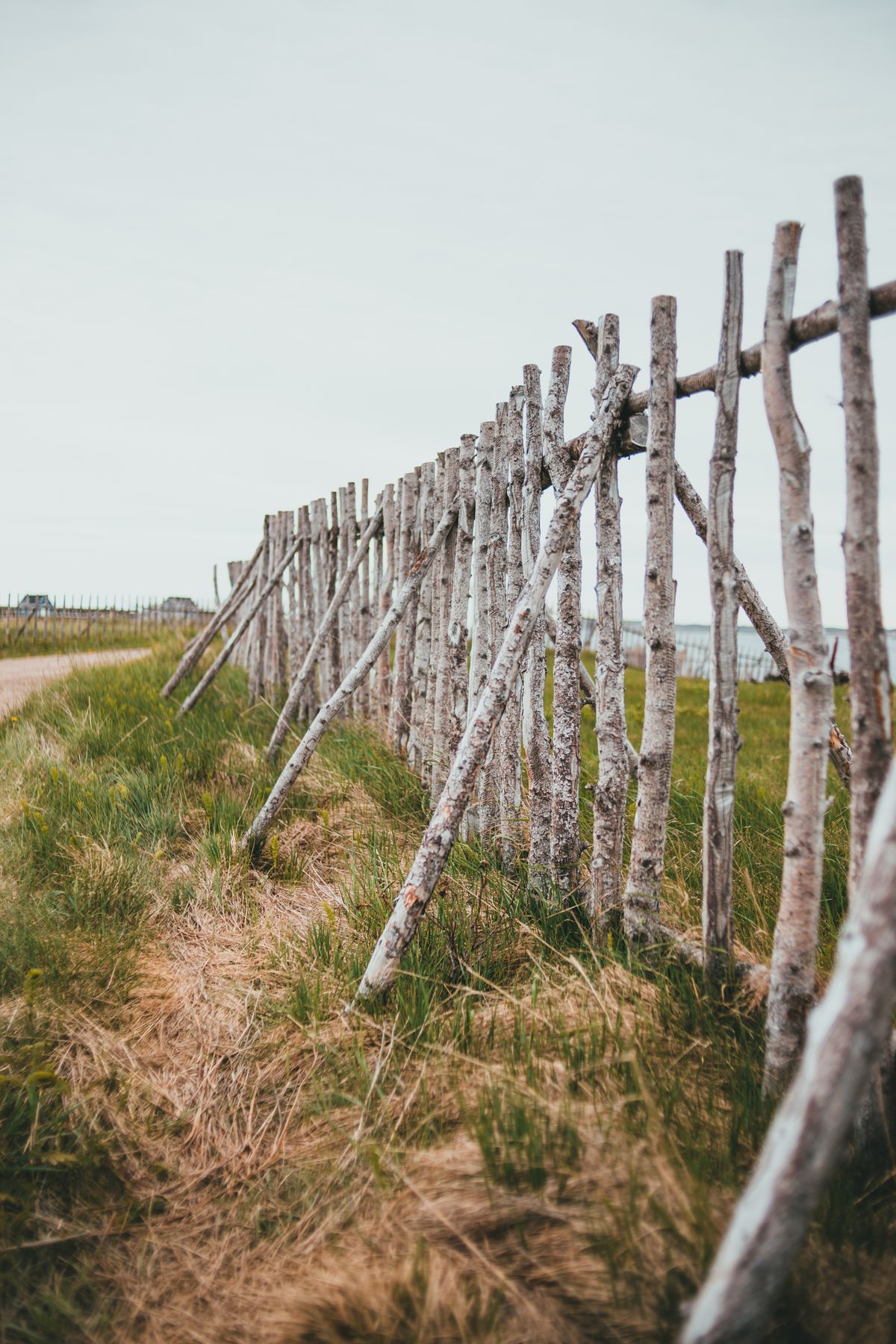 Rustic wooden fence