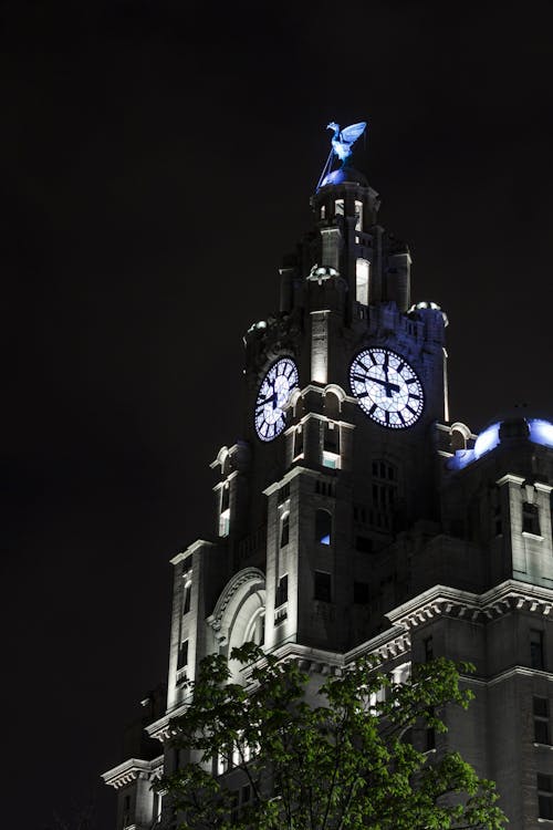 Free stock photo of clock, liver building, liverpool