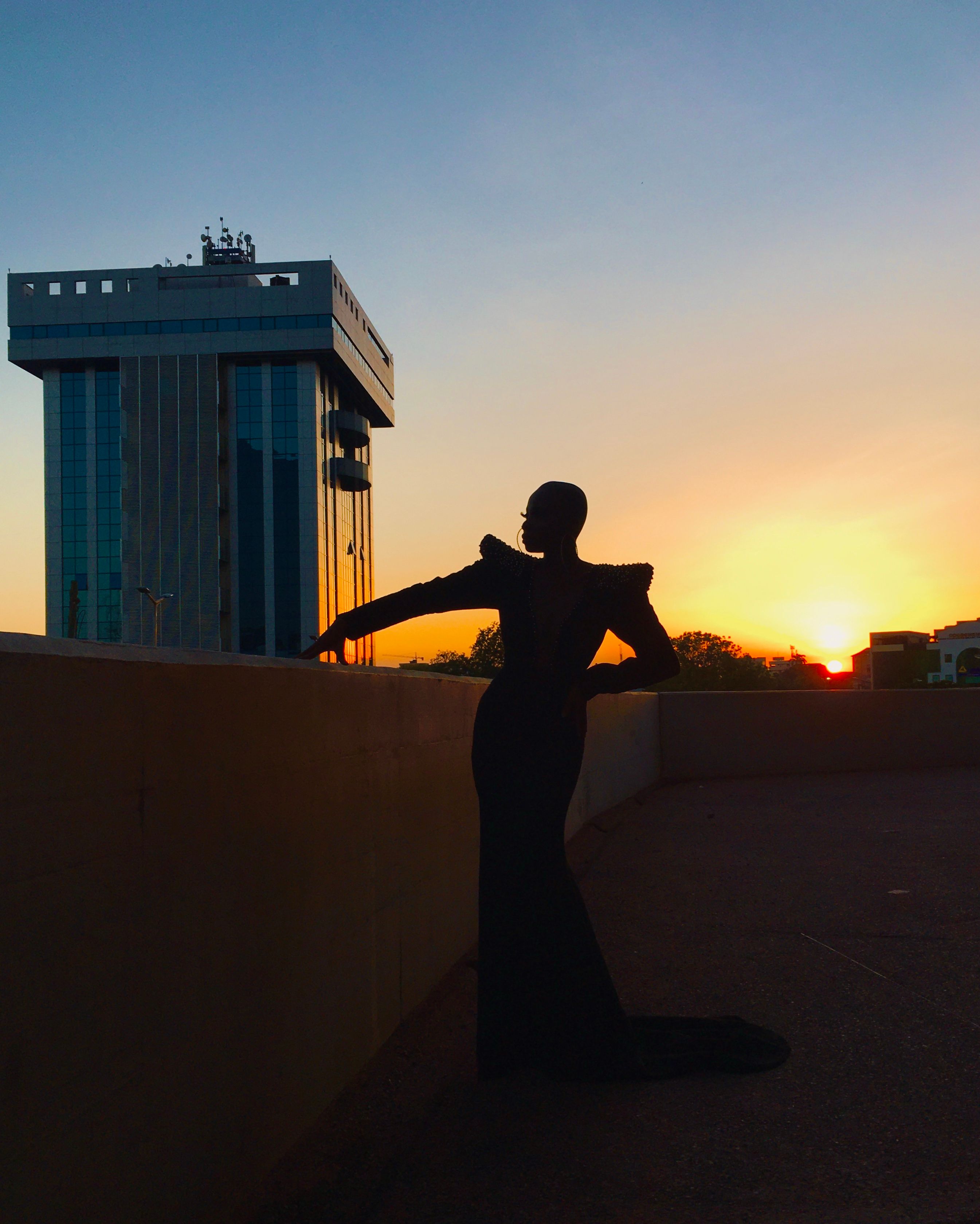 Silhouette of Woman in Elegant Dress · Free Stock Photo