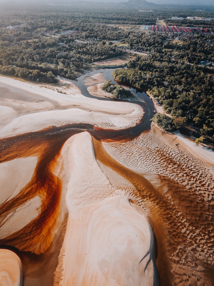 Aerial Photography River Estuary And Forest 