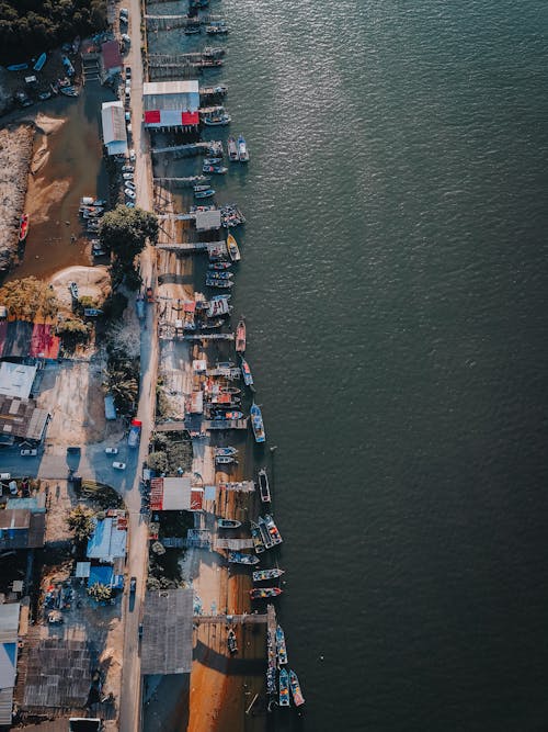 Drone Shot of Boats Docked near the Shore