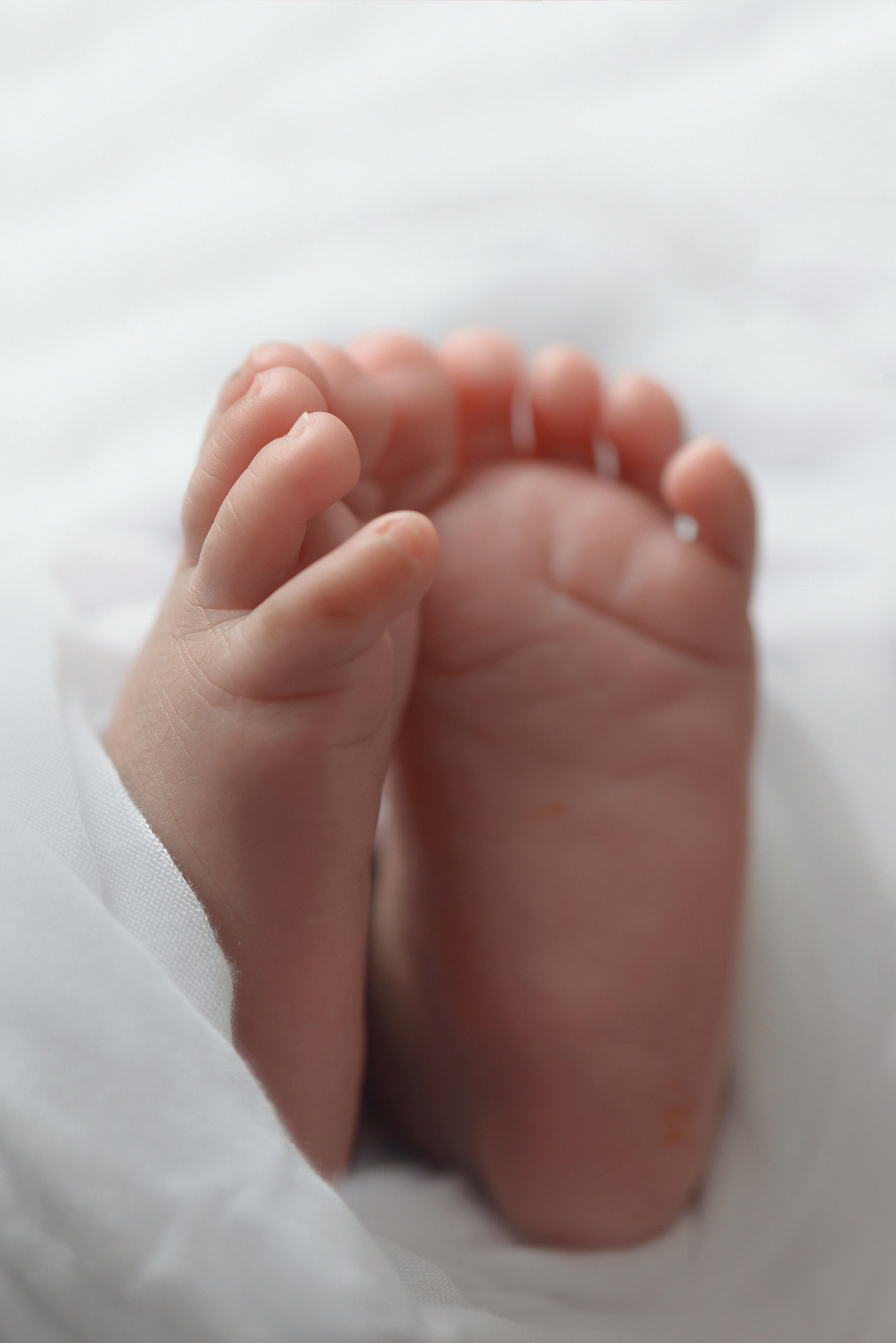 Free stock photo of baby, baby feet, baby toes