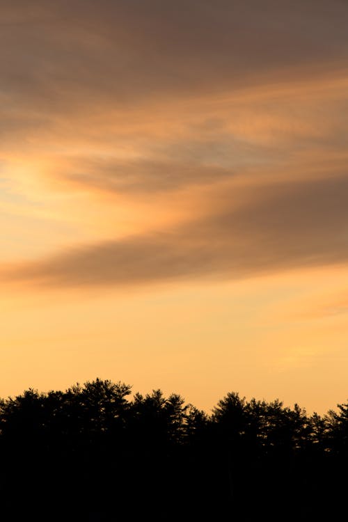 Sky During Sunset