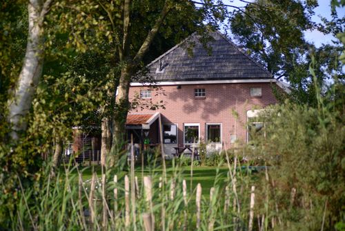 Free A cozy countryside house surrounded by lush greenery and trees in daylight. Stock Photo