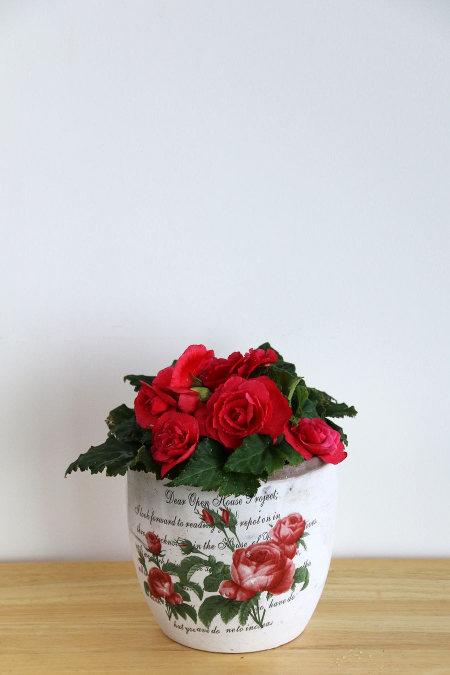 Rosas Vermelhas