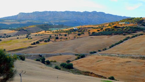 Бесплатное стоковое фото с Аэрофотосъемка, пахотная земля, пейзаж