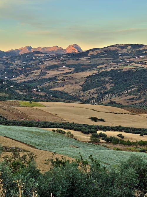 Farm Land Near the Mountain