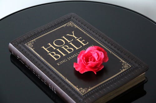 Holy Bible in Close Up Photography