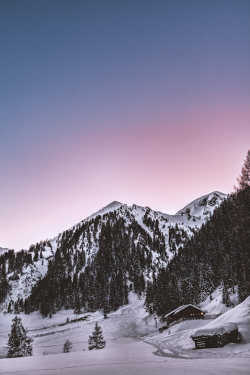 Gratis Montañas Cubiertas De Nieve Y Pinos Verdes Foto de stock