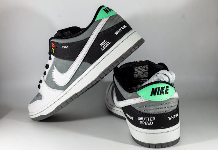 Nike SB Low Dunk VX1000