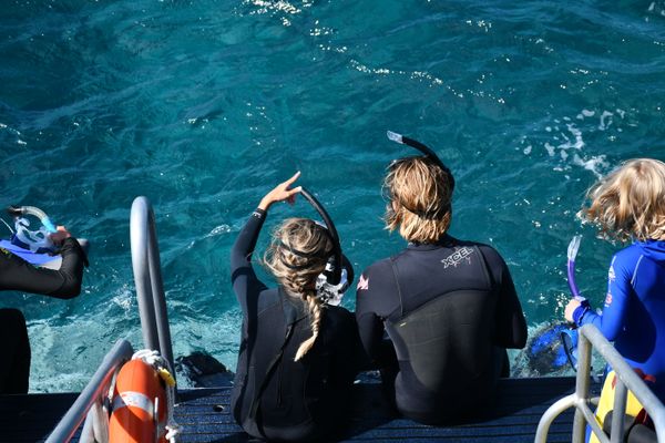 Snorkeling Excursion