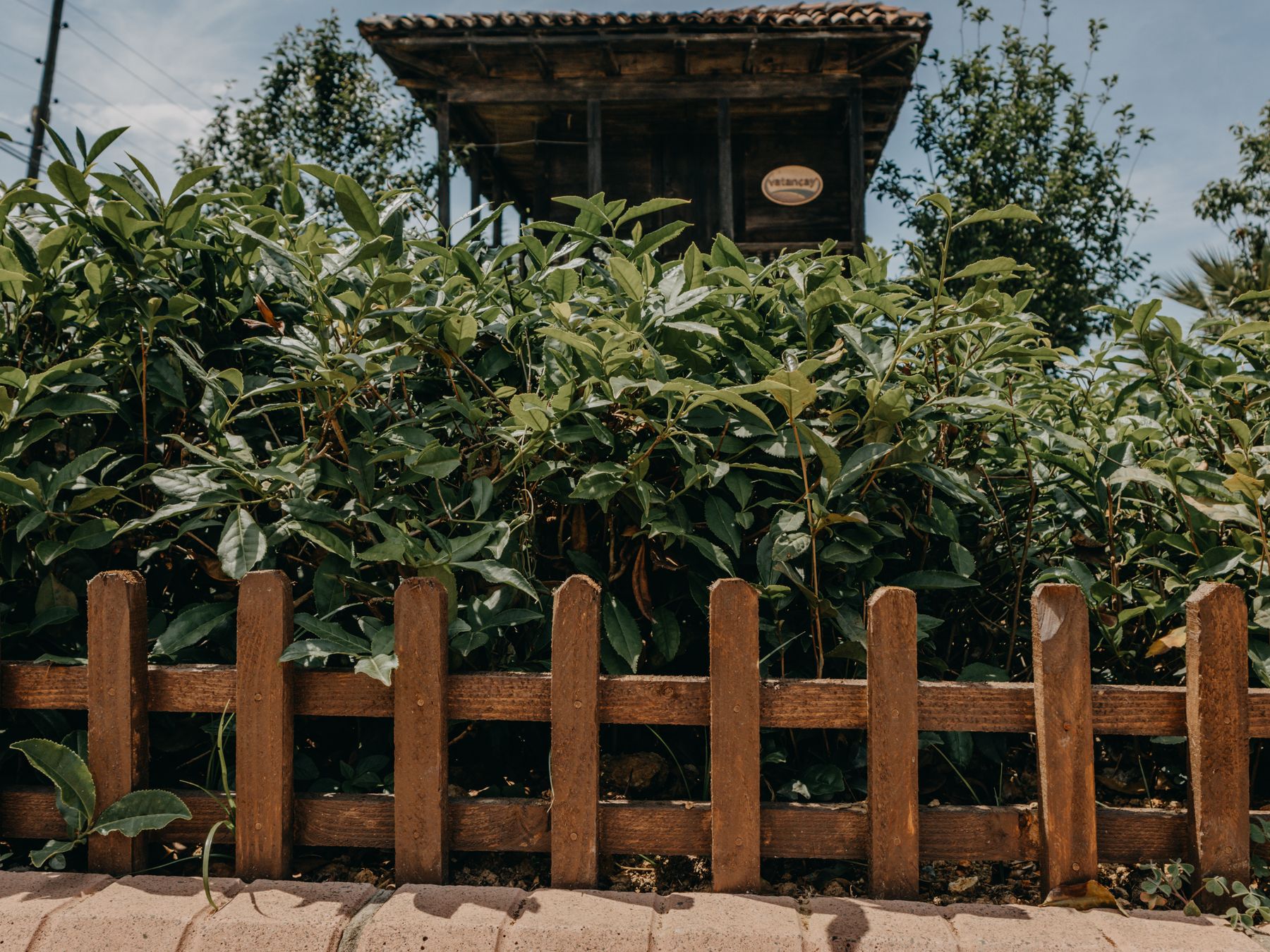Fence and Decking Painting in Single Street — careful masking before painting begins