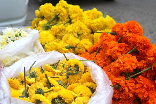 Close-up of vibrant orange and yellow marigold flowers on display, ideal for festive decorations and celebrations.