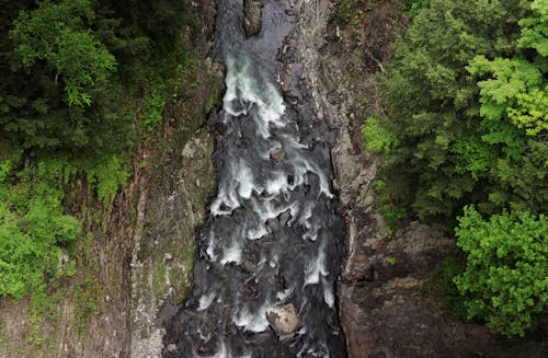 Foto d'estoc gratuïta de arbres, corrent, foto des d'un dron